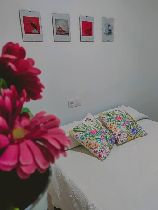 Apartamento Acerota, Con Parking Gratuito Κόρδοβα Εξωτερικό φωτογραφία